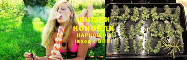 дживик Семилуки
