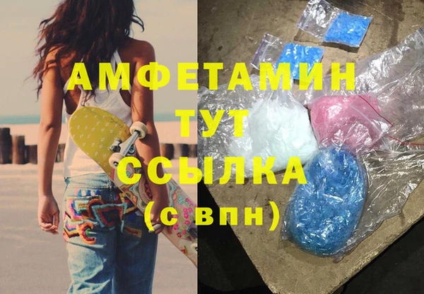 сатива Дмитровск