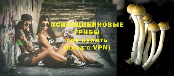 винт Елабуга