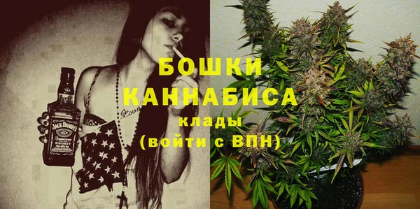 винт Елабуга